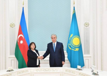 Sahibə Qafarova Qazaxıstan Prezidenti ilə görüşüb