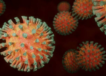 Çexiyada koronavirusun XE variantı aşkarlanıb