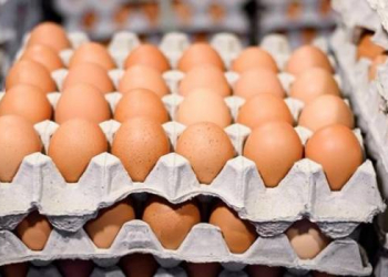 Azərbaycan Rusiyaya 8 milyon yumurta göndərir – Qıtlıq və bahalaşma olacaq