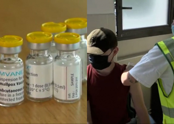 ÜST meymunçiçəyinə qarşı vaksinasiyanı tövsiyə edir - Video