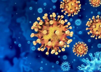 ÜST: “Mundial COVID-19-dan daha ölümcül pandemiyanın mənbəyi ola bilər”