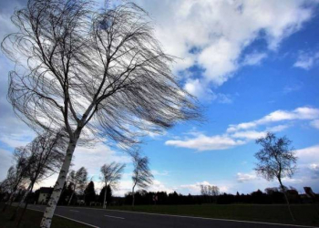 Şəmkirdə güclü külək əsir, bəzi ərazilərdə elektrik enerjisinin verilməsi dayandırılıb