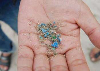 Dəhşətli statistika: Hər saatda təxminən 16 mikroplastik hissəcikləri uduruq