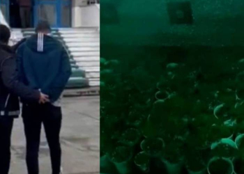 Türkiyədə bir tondan çox narkotik müsadirə edildi, yüzlərlə saxlanılan var - Video