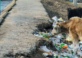 İmişlidə yol acınacaqlı vəziyyətdə - Foto