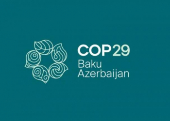 COP29 Sədrliyinin nümayəndələri ilə görüş keçirilib