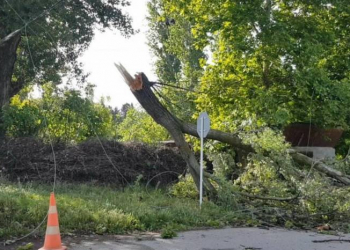 Zaqatalada güclü külək elektrik dirəklərini aşırıb, enerjinin verilməsində fasilələr yaranıb