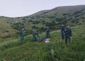 İrandan Azərbaycana 28 kq narkotik keçirilməsinin qarşısı alındı