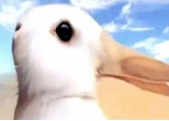 Ördək, yoxsa dovşan: Bu psixoloji test bütün sirlərinizi açacaq