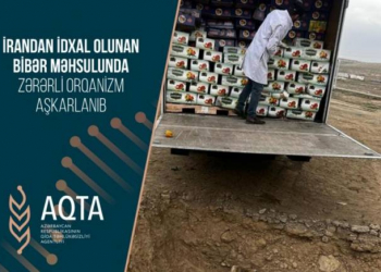 İrandan Azərbaycana gətirilən 5 ton bibər yararsız çıxıb