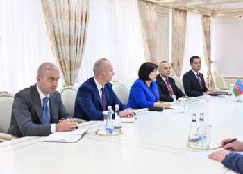 Sahibə Qafarova ATƏT Parlament Assambleyasının prezidenti ilə görüşüb