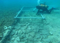 Xorvatiyada dənizin dibində 7000 illik yol aşkar edilib - Detallar+Video