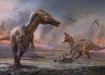 Dinozavrların yaşıdı olan canlı tapıldı