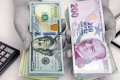 Türkiyə lirəsi dollar qarşısında tarixi minimumunu yenilədi