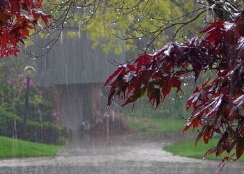 Şimşək çaxıb, leysan xarakterli yağış yağıb - Faktiki hava