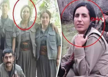Türkiyə İraqda PKK/KCK-nin məsul şəxsini zərərsizləşdirib