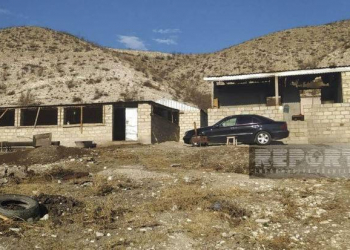 Tovuzda 25 yaşlı gənci qətlə yetirib, meyiti yandıran çobana cinayət işi açıldı 